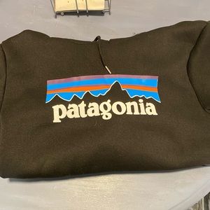 Patagonia Sweatshirt